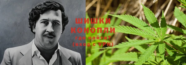 сатива Абинск