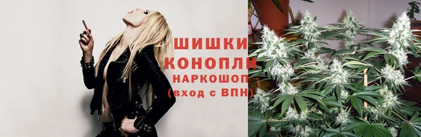 ПСИЛОЦИБИНОВЫЕ ГРИБЫ Алексин