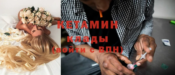 сатива Абинск