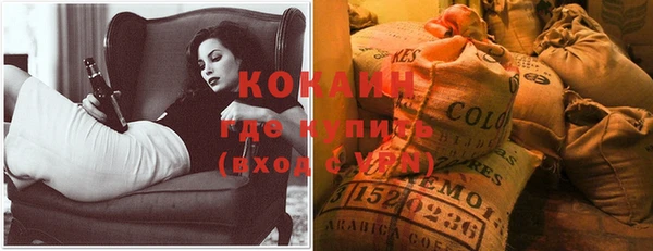 прущие крисы Абаза