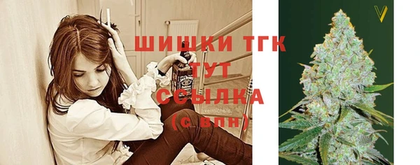 сатива Абинск